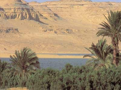 المحميات الطبيعية المصرية D985d8add985d98ad8a9-d8a8d8b1d983d8a9-d982d8a7d8b1d988d986-d8a8d8a7d984d981d98ad988d985