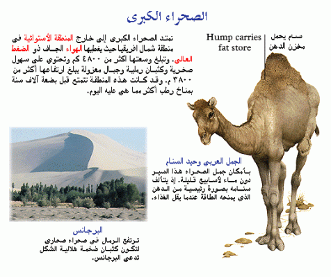 حيوانات الصحراء. .. Image293