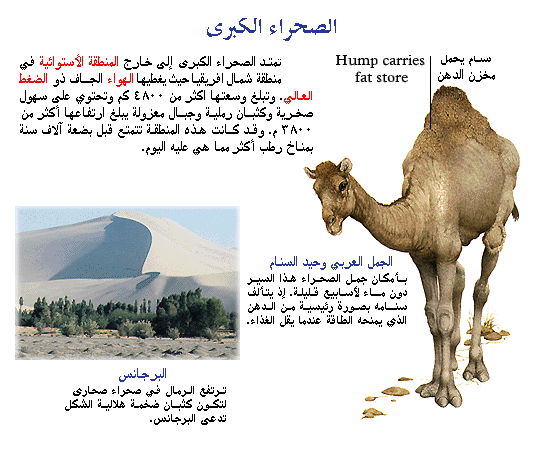 نظرة الى حياة  الحيوان فى الصحراء Image293