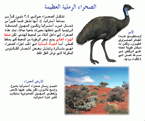 حيوانات الصحراء. .. Image295