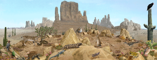 حيوانات الصحراء. .. Image301