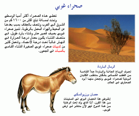 حيوانات الصحراء. .. Image303