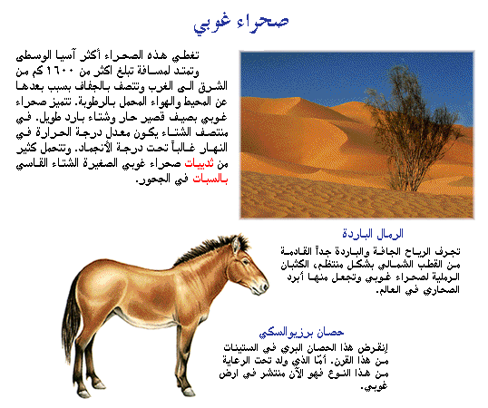 نظرة الى حياة  الحيوان فى الصحراء Image303