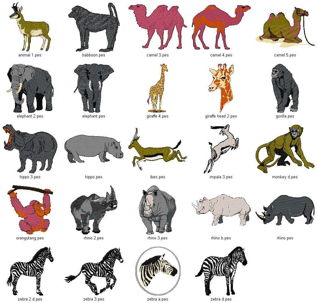 Люди животные названия. Животные и их названия. Имена всех животных. Дикие животные с именами. Сложное название зверь.