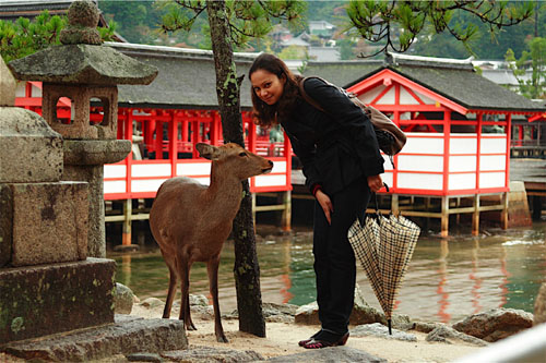 انواع  الغزال A-tourist-taking-photo-with-the-tame-deer-at-itsukushima-shrine-miyajima-japan